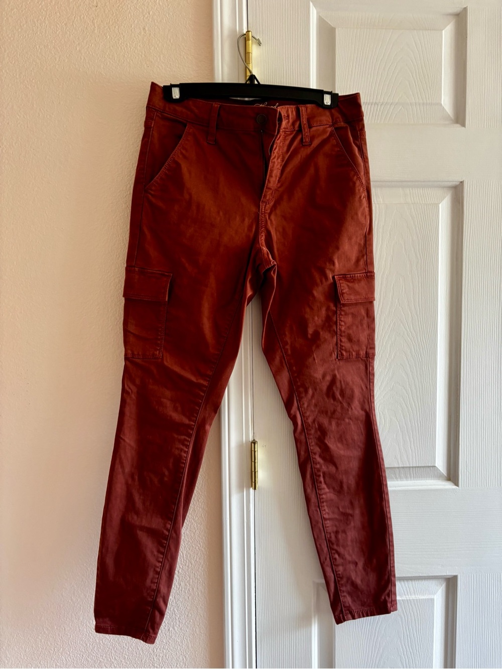 Universal Thread Men's Rust Cargo Pants